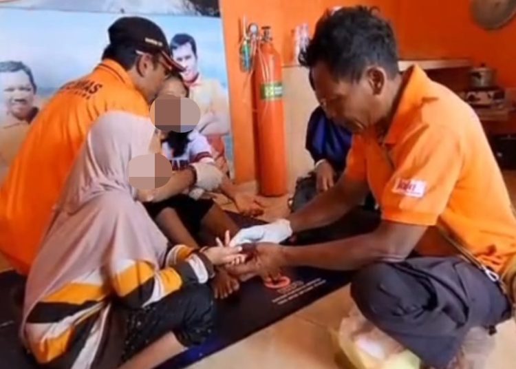 Puluhan Wisatawan Alami Sengatan Ubur-Ubur di Beberapa Pantai Gunungkidul