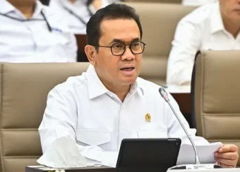 Harga Beras Mulai Turun, Pemerintah Percepat Distribusi