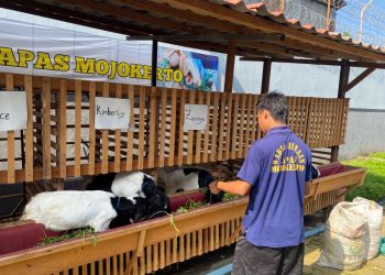 Lapas Mojokerto Cetak WBP Produktif