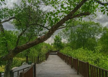 Tahukah Kamu: Penjaga Pantai Terbesar di Dunia Ada di Indonesia