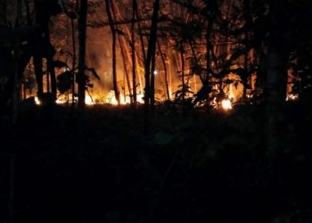 Sehari, Bojonegoro Dilanda Empat Kebakaran, Warga Diminta Waspada