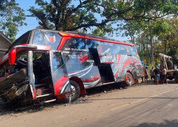 Bus Rombongan Nakes RS Bina Sehat Terguling di Bromo, 8 Tewas