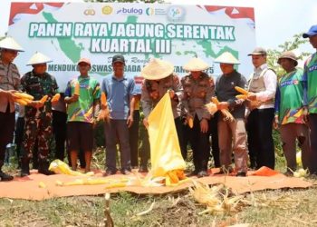 Sinergi Polres Mojokerto dan Petani, Panen Jagung 2 Ton Kuartal III 2025