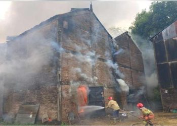 Gudang Oven Tembakau di Bojonegoro Terbakar, Kerugian Rp255 Juta
