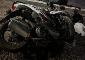Adu Banteng di Ponorogo Tewaskan Dua Pengendara Sepeda Motor