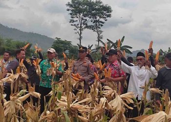 Polres Wonogiri Dukung Ketahanan Pangan Lewat Farmers Field Day Jagung