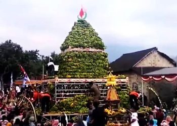 10 Ton Pisang Hiasi Tumpeng Raksasa, Warga Sumberjo Rayakan Syukuran Gedang