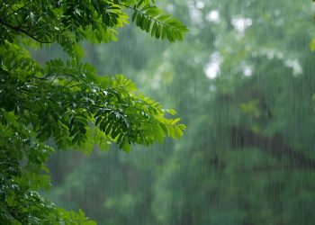 Sukoharjo Diprediksi Diguyur Hujan Ringan, Warga Diminta Waspada