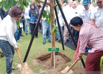 Megawati Tanam Pohon Bodhi di UGM, Pesan Harmoni Alam-Manusia