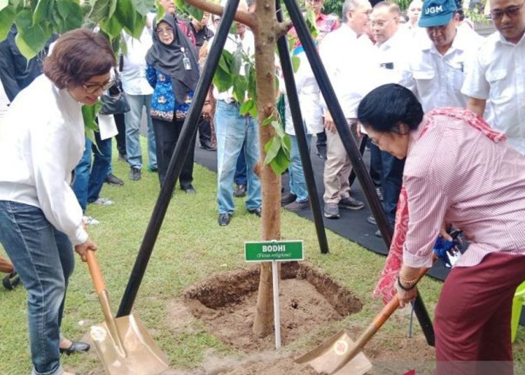 Megawati Tanam Pohon Bodhi di UGM, Pesan Harmoni Alam-Manusia