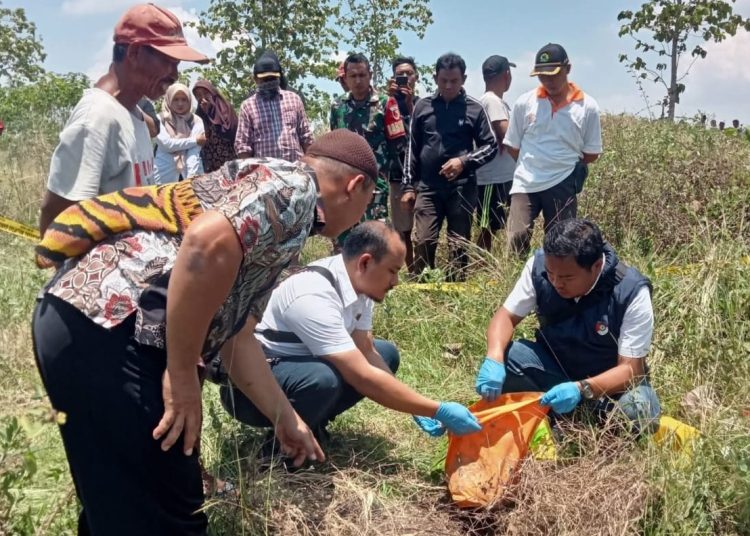 Pencari Rumput Temukan Mayat Bayi di Hutan Malo Bojonegoro