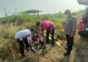 Tragis! Pencari Rumput Gresik Ditemukan Meninggal Setelah Sehari Hilang