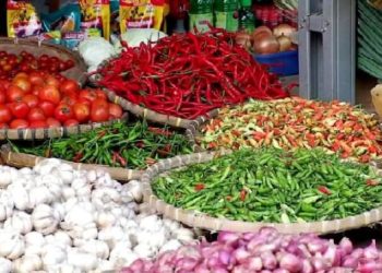 Bapanas Catat Penurunan Harga Cabai hingga Beras Premium