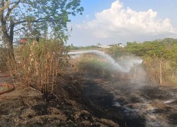Sumur Minyak di Gresik Terbakar, Diduga Akibat Api Pembakaran Lahan
