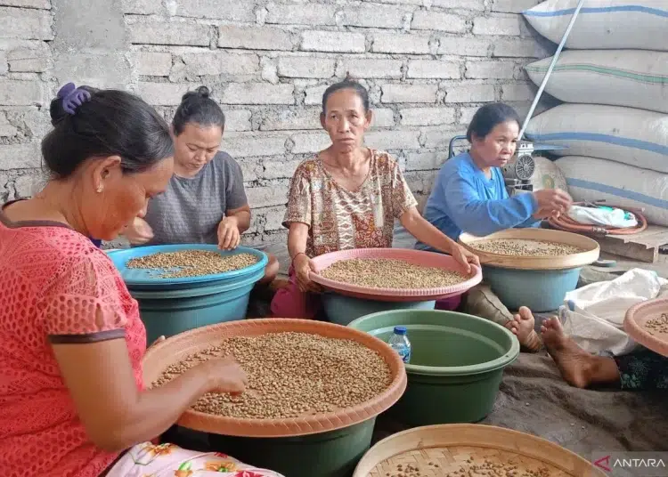 Dari Lereng Kintamani, Kopi Kenangan Bangun Keberlanjutan Lewat Pemberdayaan Petani dan Teknologi