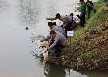 Kapolres Tulungagung Tebar 5.000 Ikan Tombro di Sungai Ngrowo