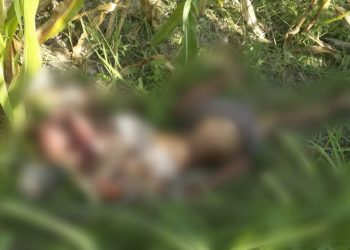 Warga Bojonegoro Geger, Pria Ditemukan Tewas dengan Luka Sayatan di Leher