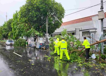 Cuaca Ekstrem Terjang Madiun, Satlantas Evakuasi Pohon Tumbang di Tiga Titik