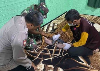 Pria 39 Tahun di Baturetno Ditemukan Tewas Gantung Diri di Samping Rumah