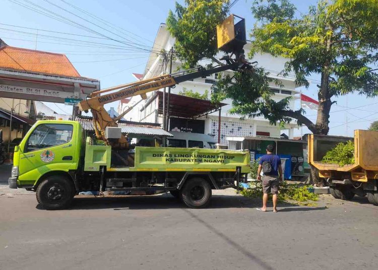 DLH Ngawi Gencarkan Pemangkasan Pohon di Jalur Utama Kota
