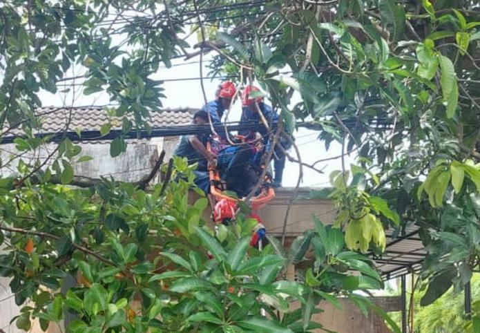 Petik Mangga Berujung Pingsan, Warga Bojonegoro Dievakuasi dari Atap Rumah
