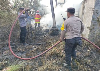 Kebakaran Hebat di Paron Ngawi, 50 Ban Bekas dan Ilalang Ludes Dilalap Api