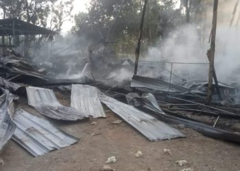 Kandang Ayam di Ponorogo Terbakar, 7.000 Ekor Mati, Kerugian Rp700 Juta