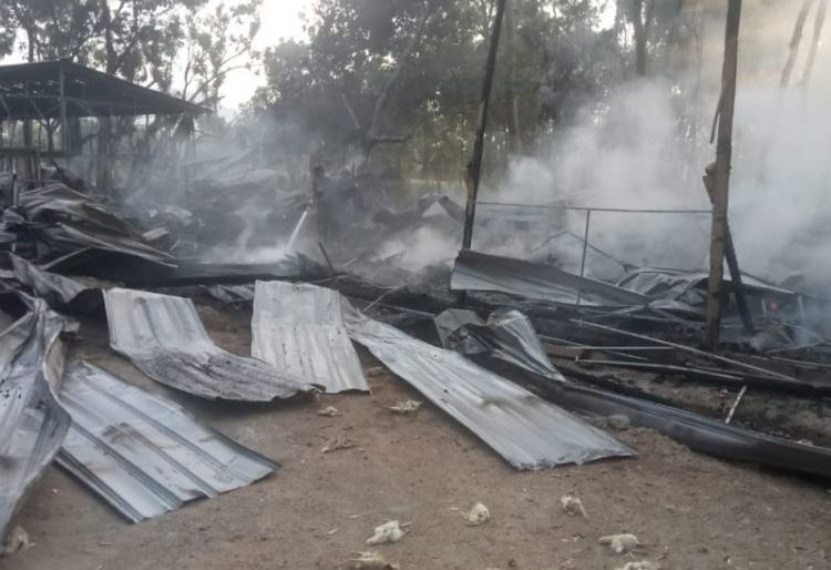Kandang Ayam di Ponorogo Terbakar, 7.000 Ekor Mati, Kerugian Rp700 Juta