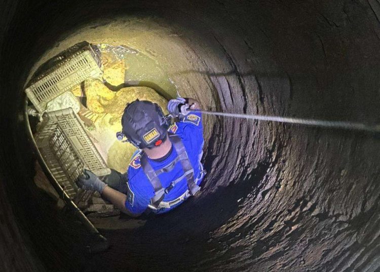 Drama Evakuasi Sapi 7 Kwintal di Bondowoso, Petugas Berjibaku 4 Jam di Malam Hari