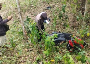 Rem Motor Blong di Jalan Curam, Warga Gunungkidul Tewas Terjun ke Jurang