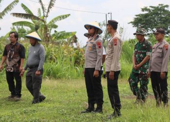 TNI-Polri dan Warga Kompak Panen Jagung di Boyolali, Dukung Ketahanan Pangan Nasional