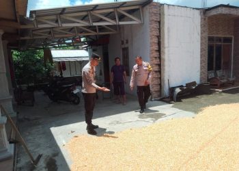 Dukung Ketahanan Pangan, Polsek Teras Sambangi Petani Jagung di Dukuh Dudan
