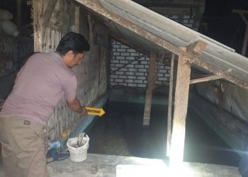 Santri 16 Tahun di Gresik Tewas Tersetrum, Jatuh ke Kolam Lele Pondok
