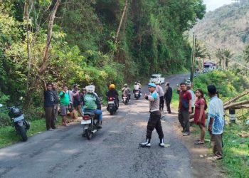 Hujan dan Angin Kencang, Pria Asal Bantul Tewas Tertimpa Pohon di Kulonprogo