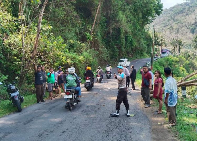 Hujan dan Angin Kencang, Pria Asal Bantul Tewas Tertimpa Pohon di Kulonprogo