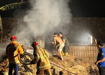 Kebakaran Hebat di Tuban, Kandang Sapi dan Jerami Ludes Dilalap Api