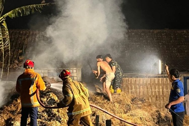 Kebakaran Hebat di Tuban, Kandang Sapi dan Jerami Ludes Dilalap Api