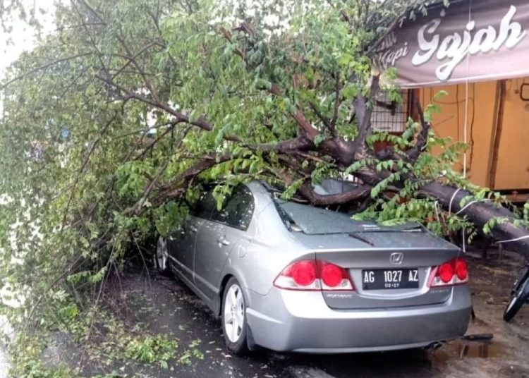 Cuaca Ekstrem Hantam Mojokerto Hujan Deras Disertai Angin Kencang Bikin Mojokerto Kacau