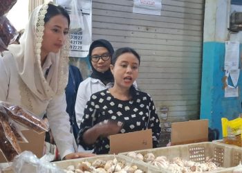 Wamendag Tinjau Pasar Besar Madiun Pastikan Harga Pangan Stabil Jelang Nataru