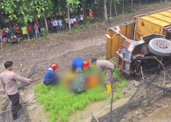 Truk Modif Terguling di Bojonegoro, Sopir Tewas Tersengat Kabel Listrik