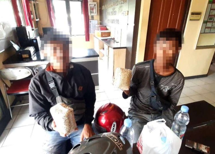 Dua Warga Cirebon Ditangkap di Wonosobo Edarkan Merica Oplosan