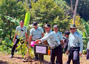 Pemkab Madiun Tanam 6.000 Pohon di Hulu Wilis untuk Jaga Sumber Air dan Lingkungan