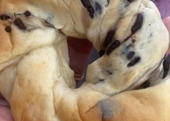 Paket Makan Bergizi Gratis PAUD di Madiun Ditemukan Berjamur, Orangtua Soroti Kualitas Penyedia