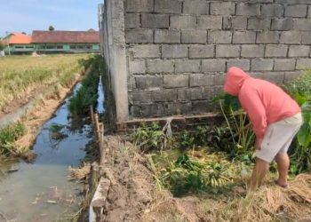 Lahan Pertanian di Geger Diduga Tercemar Limbah Dapur SPPG Assalam, Petani Keluhkan Bau Menyengat