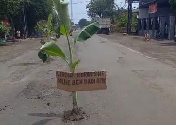 Sindiran Jalan Rusak di Ngawi: Pohon Pisang dan Pesan “Lereno Korupsine”