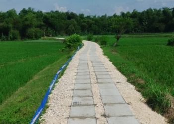 Pemkab Bojonegoro Bangun 163 Jalan Usaha Tani di 2026, Anggarkan Rp31,1 Miliar