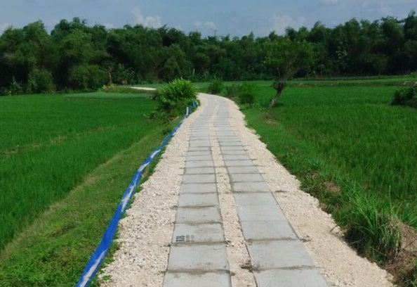 Pemkab Bojonegoro Bangun 163 Jalan Usaha Tani di 2026, Anggarkan Rp31,1 Miliar