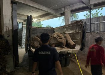 Polisi Bongkar Jaringan Penebangan Liar Sonokeling di Wonogiri