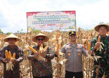 Polres Wonogiri dan Forkopimda Gelar Panen Raya Jagung Serentak, Dukung Swasembada Nasional