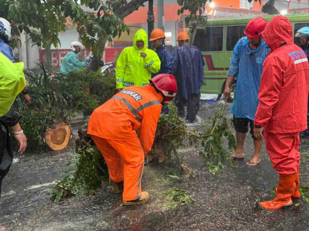 Hujan Disertai Angin Kencang di Boyolali, Sejumlah Pohon Tumbang Tutupi Jalan Pandanaran